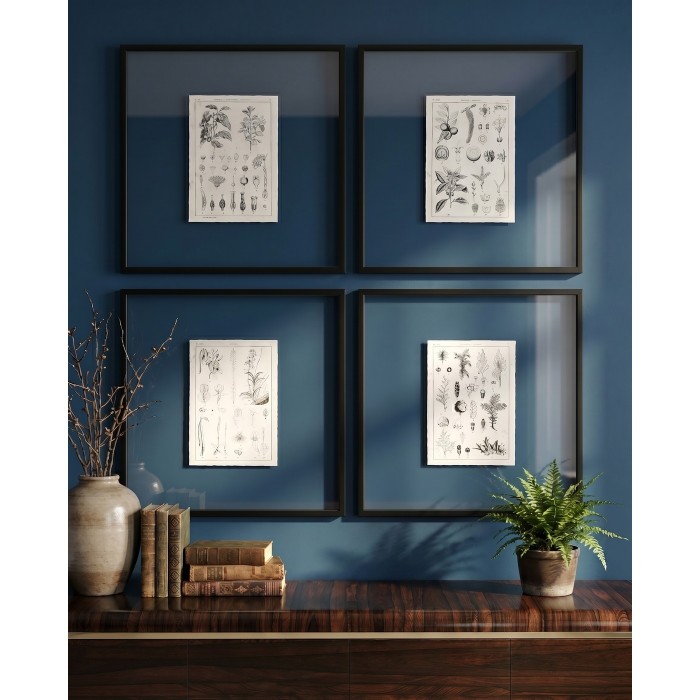 Botanica Knowledge - Set of 4