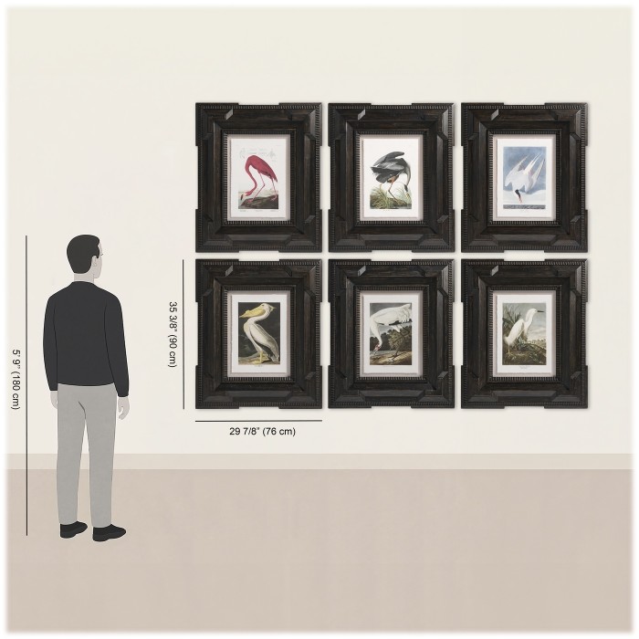 Audubon Birds - Set of 6