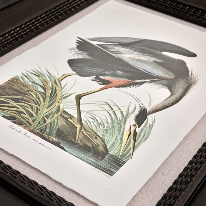 Audubon Birds - Set of 6
