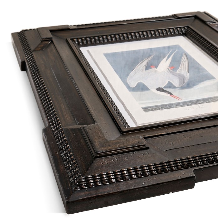 Audubon Birds - Set of 6