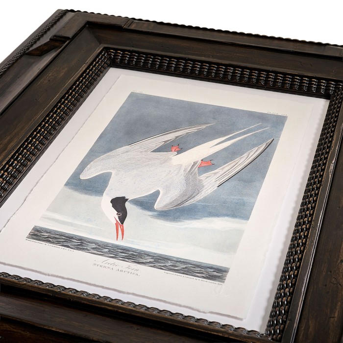 Audubon Birds - Set of 6