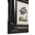 Audubon Birds - Set of 6