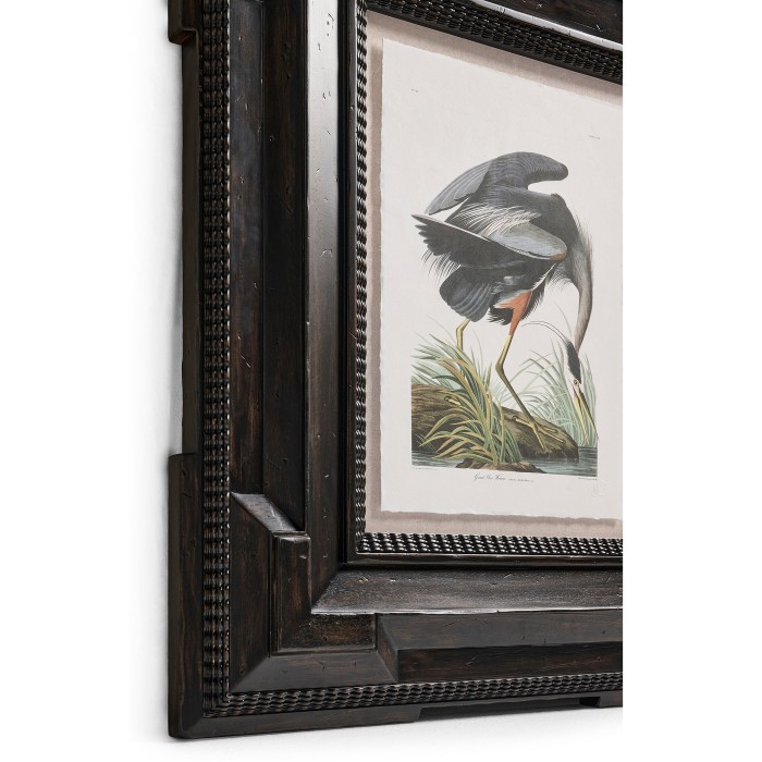 Audubon Birds - Set of 6