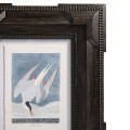 Audubon Birds - Set of 6