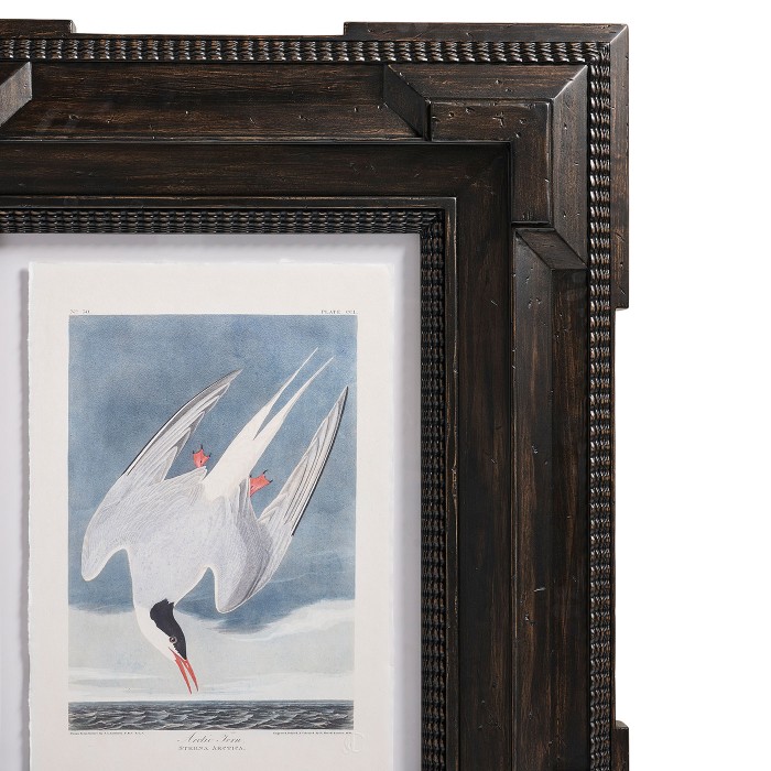 Audubon Birds - Set of 6