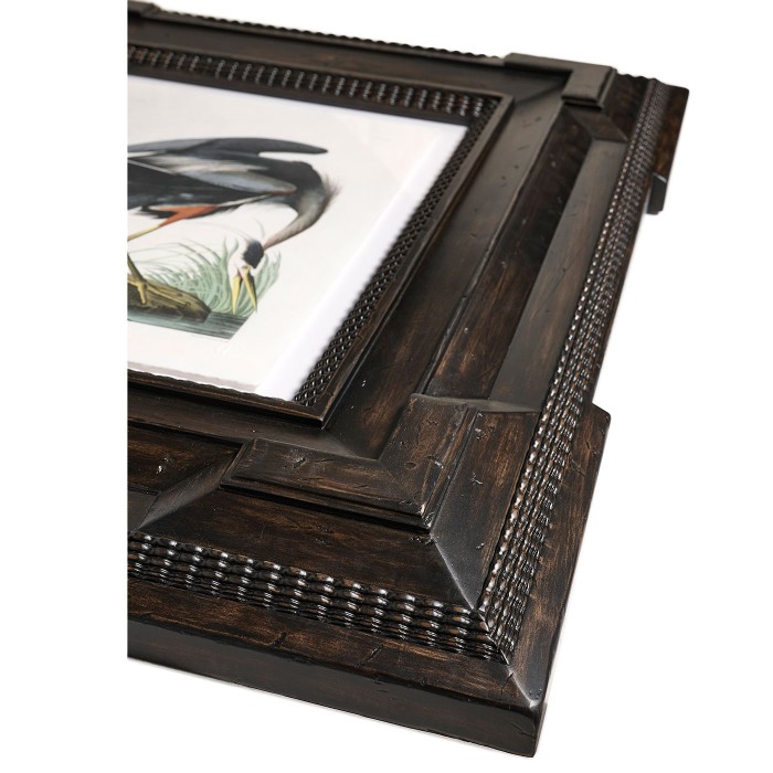 Audubon Birds - Set of 6