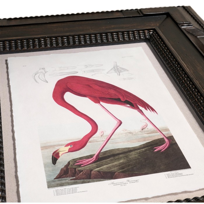 Audubon Birds - Set of 6