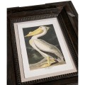 Audubon Birds - Set of 6