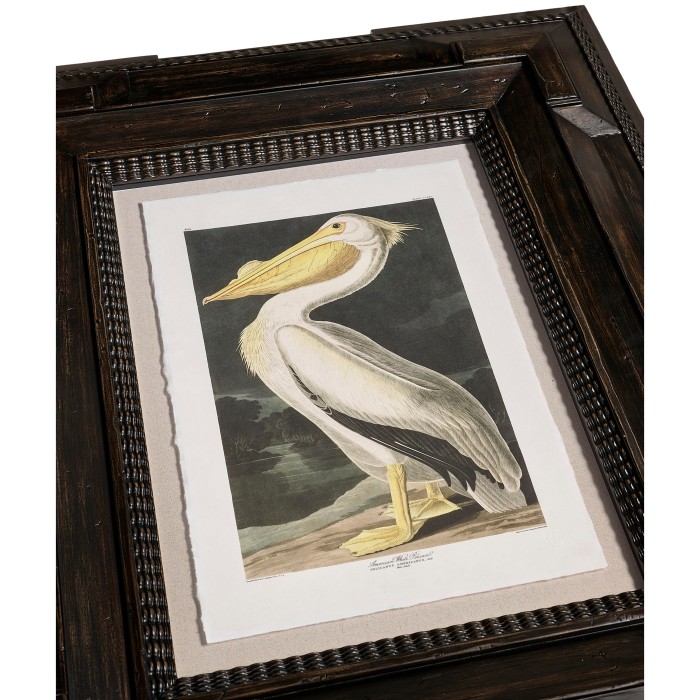 Audubon Birds - Set of 6
