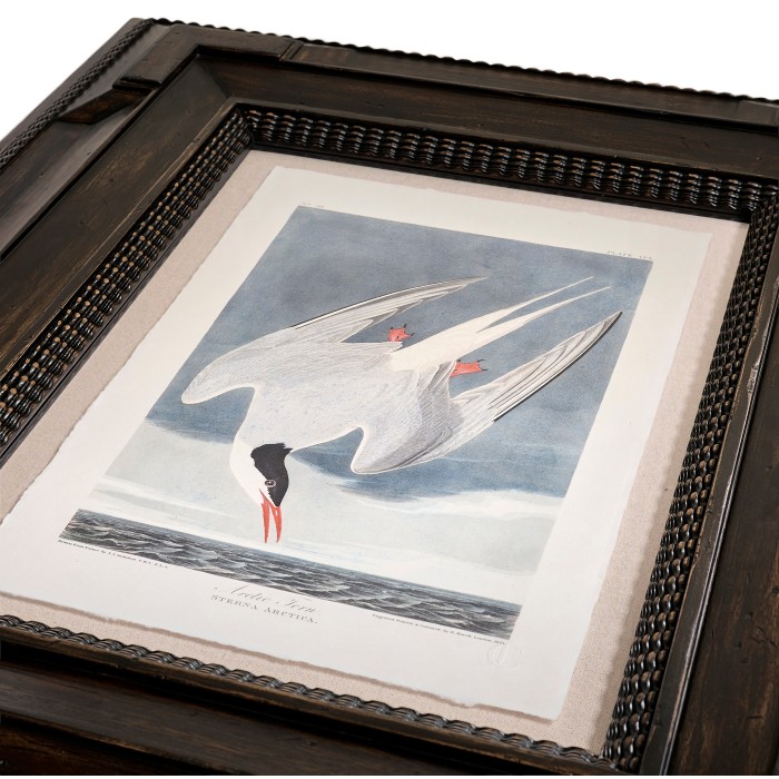Audubon Birds - Set of 6