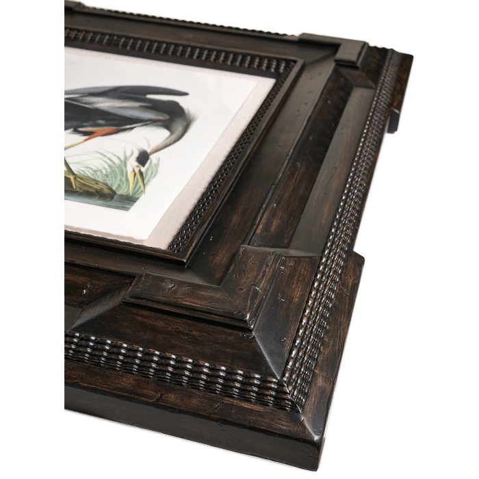 Audubon Birds - Set of 6