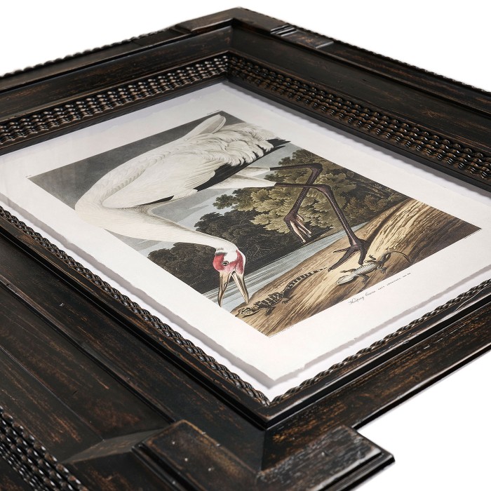 Audubon Birds - Set of 6
