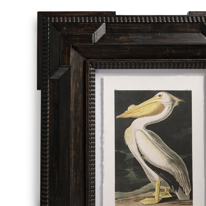 Audubon Birds - Set of 6