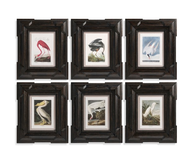 Audubon Birds - Set of 6
