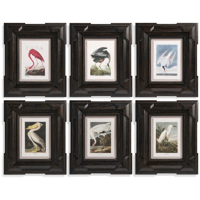 Audubon Birds - Set of 6