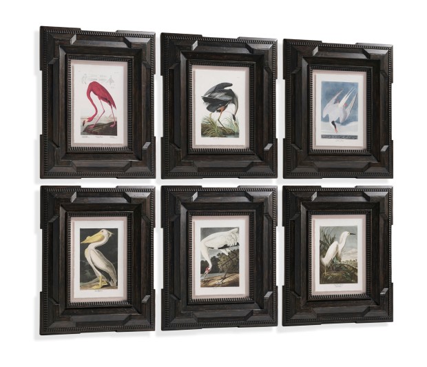Audubon Birds - Set of 6