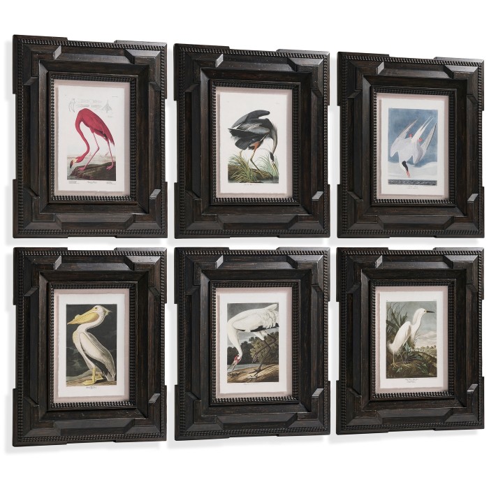 Audubon Birds - Set of 6