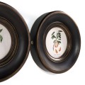 Vintage Fruit No. 1 - Set of 4