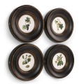 Vintage Fruit No. 3 - Set of 4