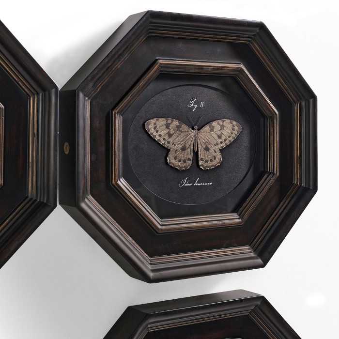 Wings of Discovery – Set of 6