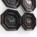 Wings of Discovery – Set of 6