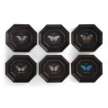 Wings of Discovery – Set of 6