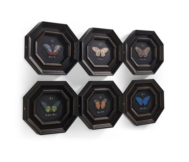 Wings of Discovery – Set of 6