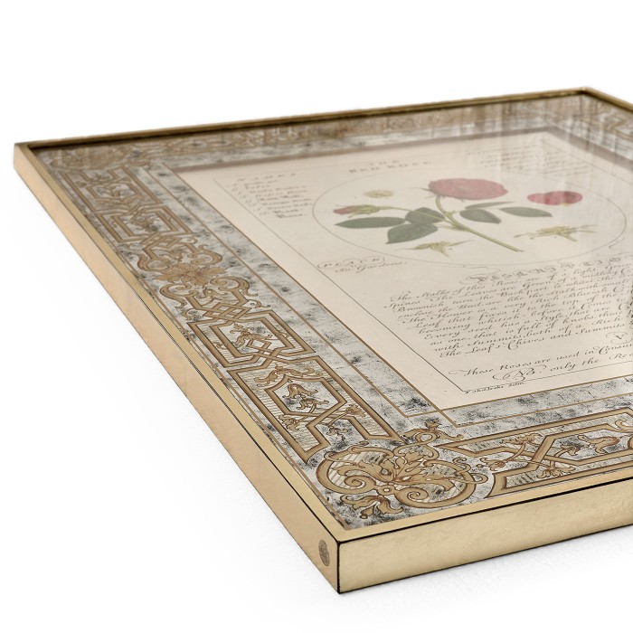 Herbal of Enlightenment - Set of 4
