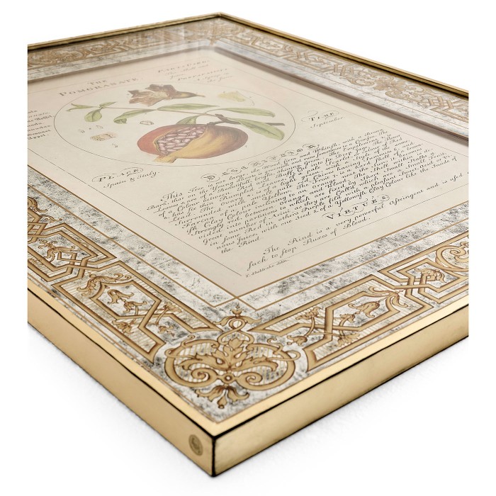 Herbal of Enlightenment - Set of 4