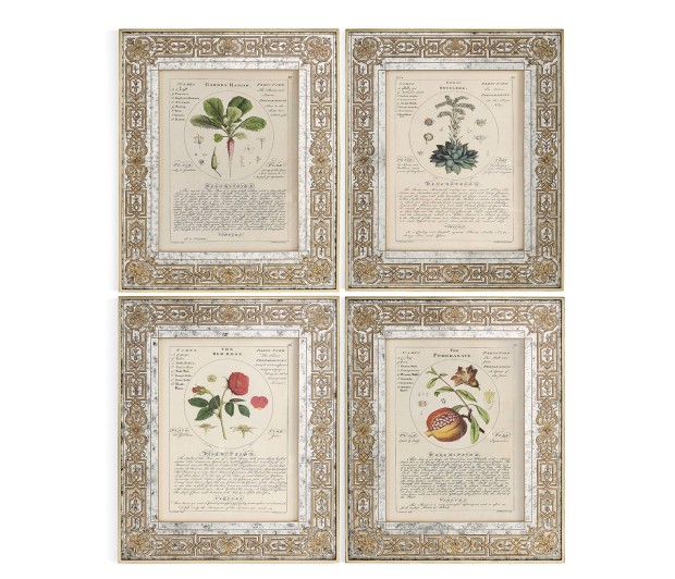 Herbal of Enlightenment - Set of 4