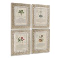 Herbal of Enlightenment - Set of 4
