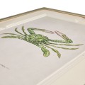 Vintage Marine Animals - Set of 4
