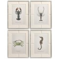 Vintage Marine Animals - Set of 4
