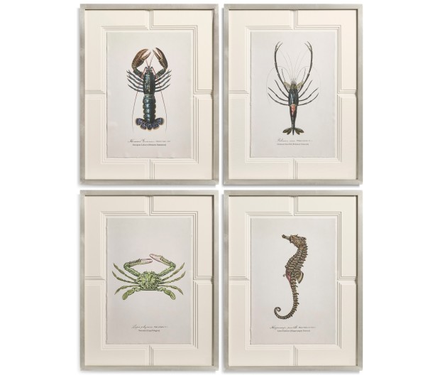 Vintage Marine Animals - Set of 4