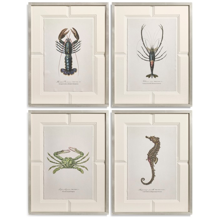 Vintage Marine Animals - Set of 4