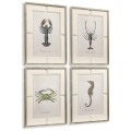 Vintage Marine Animals - Set of 4