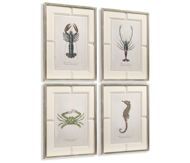 Vintage Marine Animals - Set of 4