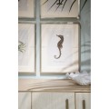 Vintage Marine Animals - Set of 4