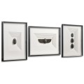 Symbols of Renewal - Set of 3