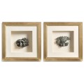 Fragments of Time - Set of 2